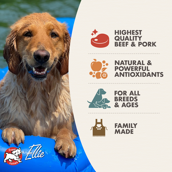 Fromm Diner Classics Milo's Meatloaf Pate Canned Dog Food