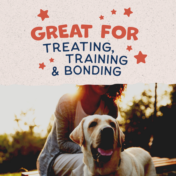 Natural Balance Rewards Crunchy Biscuits Dog Treats for Small Breeds with Real Salmon