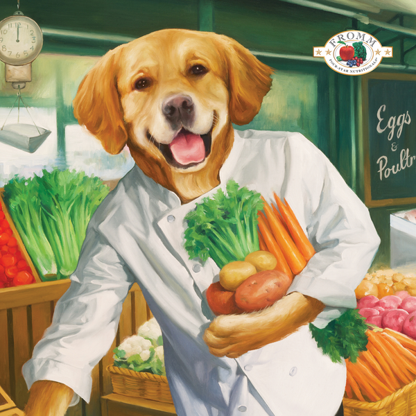 Fromm Four Star Chicken Dog Treat