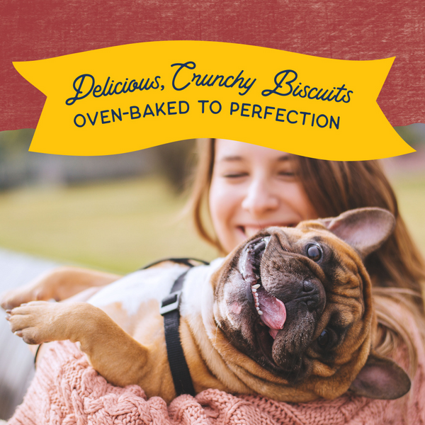 Natural Balance Rewards Crunchy Biscuits With Real Bison Small Breed  Dog Treats