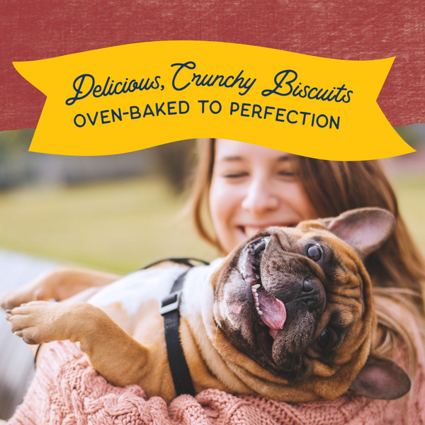 Natural Balance Rewards Crunchy Biscuits Dog Treats for Small Breeds with Real Bison