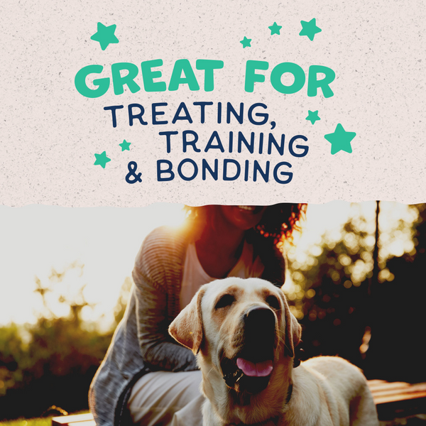 Natural Balance Rewards Crunchy Biscuits Dog Treats for Small Breeds with Real Chicken