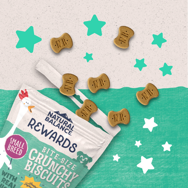 Natural Balance Rewards Crunchy Biscuits Dog Treats for Small Breeds with Real Chicken