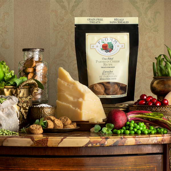 Fromm Four Star Nutritionals Grain Free Parmesan Cheese Dog Treats