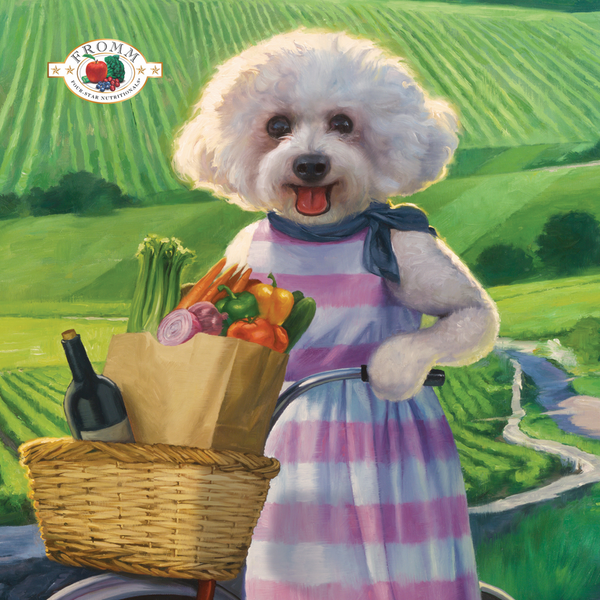 Fromm Four Star Nutritionals Grain Free Parmesan Cheese Dog Treats