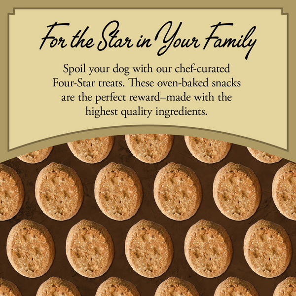 Fromm Four Star Nutritionals Grain Free Parmesan Cheese Dog Treats