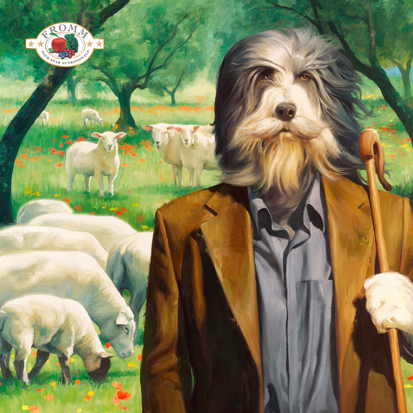 Fromm Four Star Nutritionals Grain Free Lamb with Cranberry Dog Treats