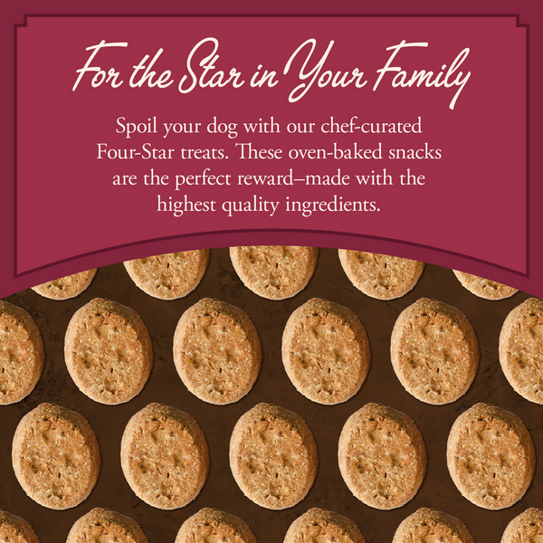 Fromm Four Star Nutritionals Grain Free Salmon with Sweet Potato Baked Dog Treats