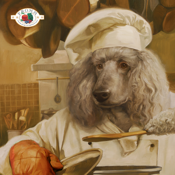 Fromm Four Star Nutritionals Grain Free Salmon with Sweet Potato Baked Dog Treats