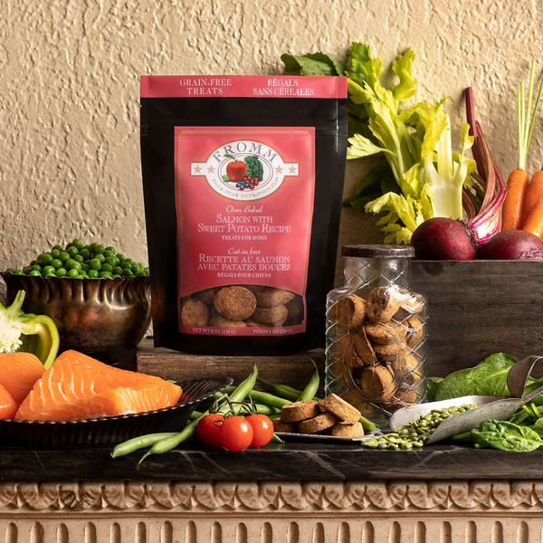 Fromm Four Star Salmon Dog Treat