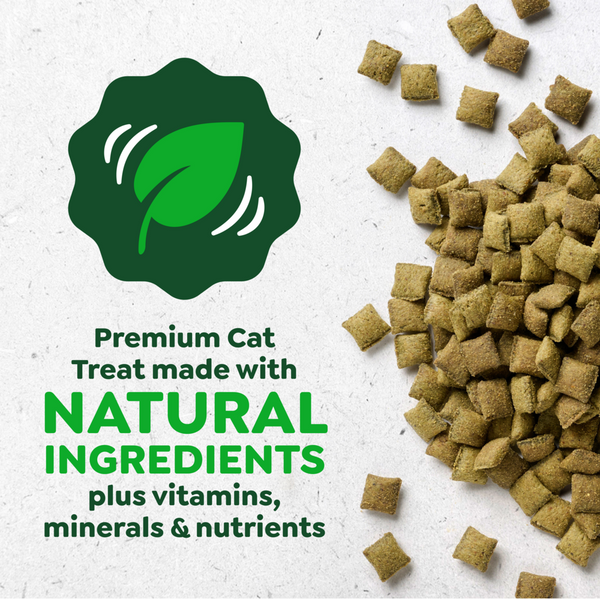 Greenies Smartbites Skin and Fur Chicken Cat Treats