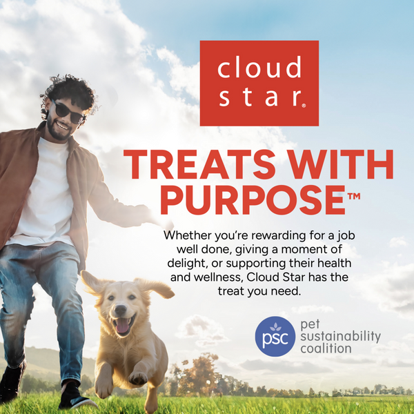 Cloud Star Dynamo Dog Functional Soft Chews Skin and Coat Salmon Dog Treats