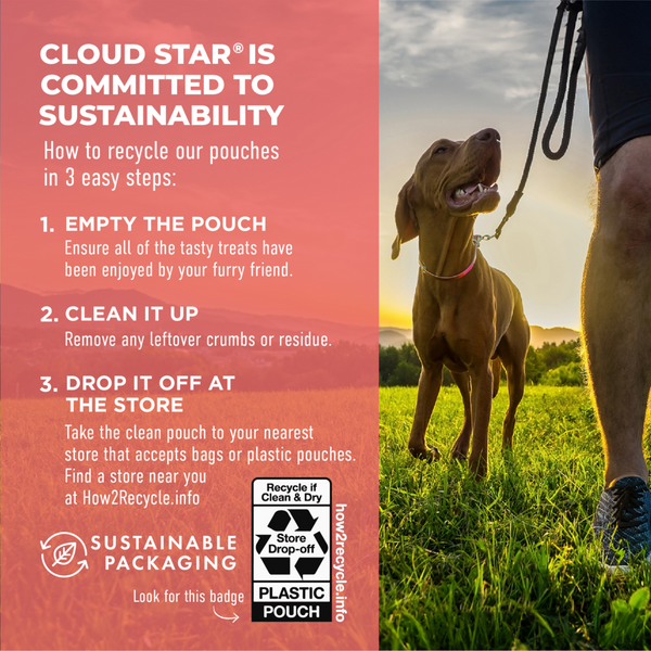 Cloud Star Dynamo Dog Functional Soft Chews Skin and Coat Salmon Dog Treats