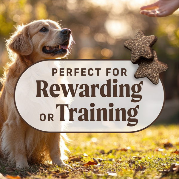 Merrick Power Bites Grain Free Chicken Recipe Dog Treats