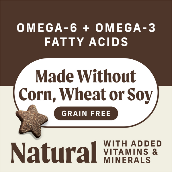 Merrick Power Bites Real Texas Beef Recipe Dog Treats