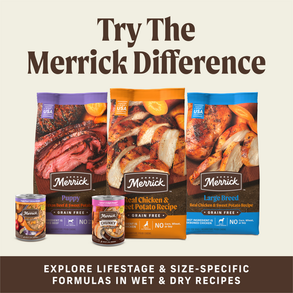 Merrick Power Bites Real Texas Beef Recipe Dog Treats