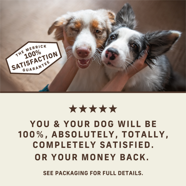 Merrick Power Bites Real Texas Beef Recipe Dog Treats