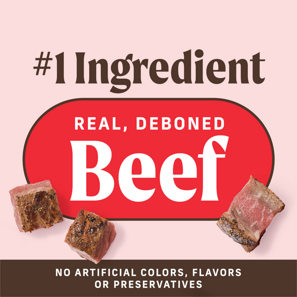 Merrick Power Bites Texas Beef Dog Treats