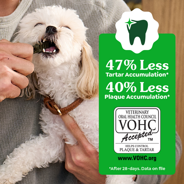Greenies Regular Blueberry Dental Dog Chews