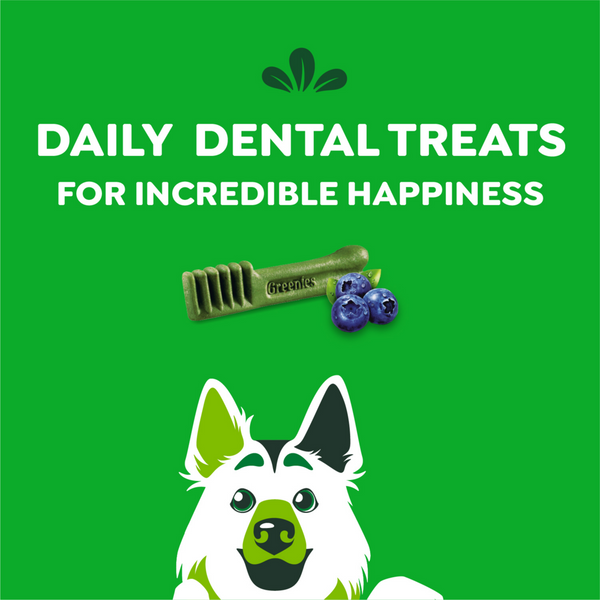 Greenies Large Blueberry Dental Dog Chews