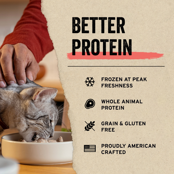 Vital Essentials Vital Cat Freeze Dried Grain Free Chicken Breast Cat Treats