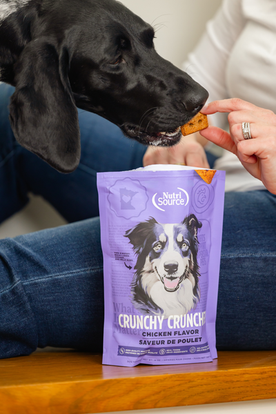 NutriSource Grain Free Chicken Biscuits Dog Treats
