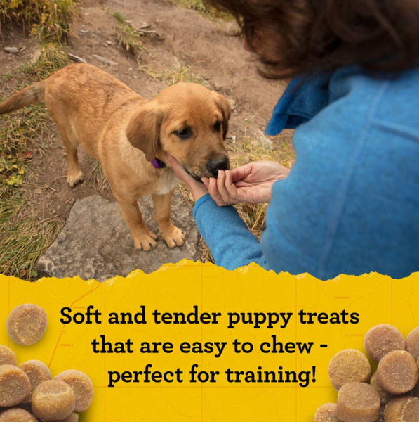 Zukes Puppy Naturals Grain Free Lamb Dog Treats