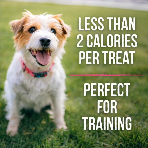 Merrick Lil' Plates Bitty Beef Small Breed Dog Training Treats