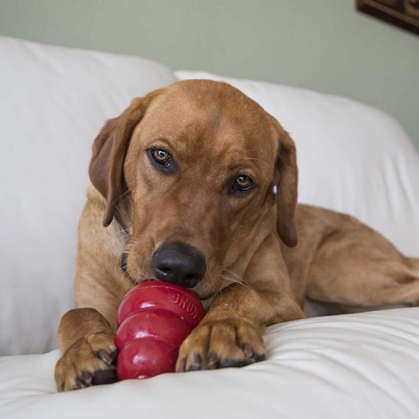 Kong Stuff'n Snacks Liver Recipe Dog Treats