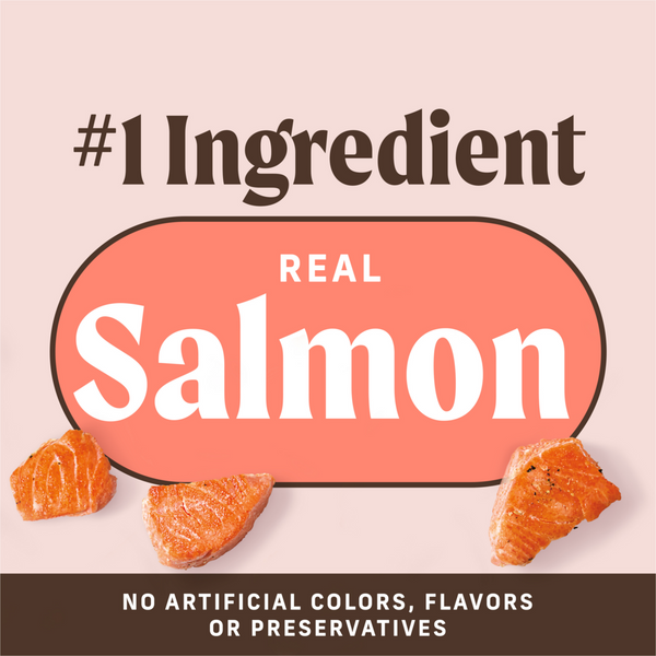 Merrick Power Bites Salmon Dog Treats