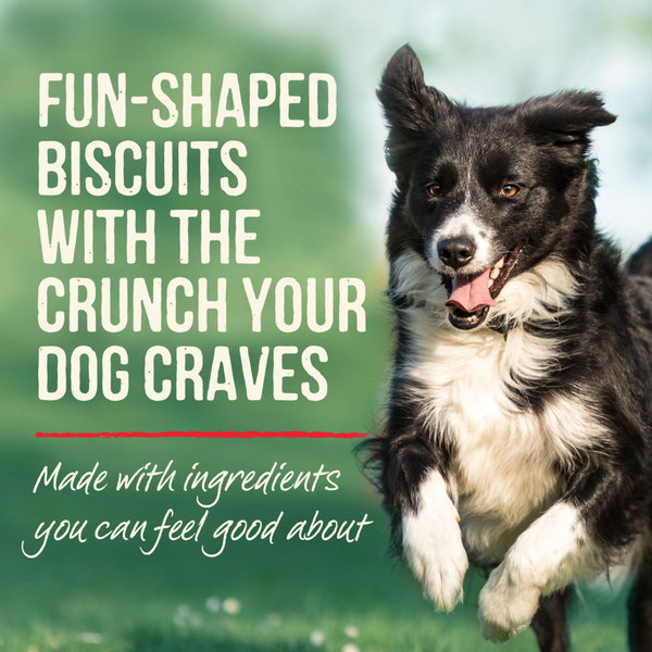 Merrick Cowboy Cookout Beef and Bacon Oven Baked Dog Treats
