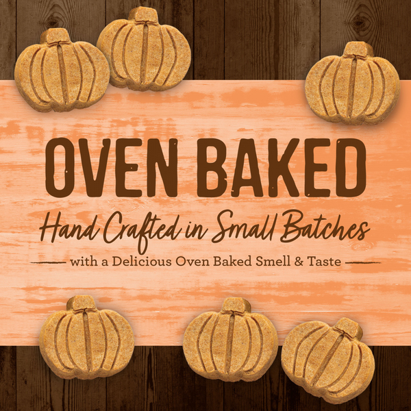 Merrick Pumpkin Patch Oven Baked Dog Treats