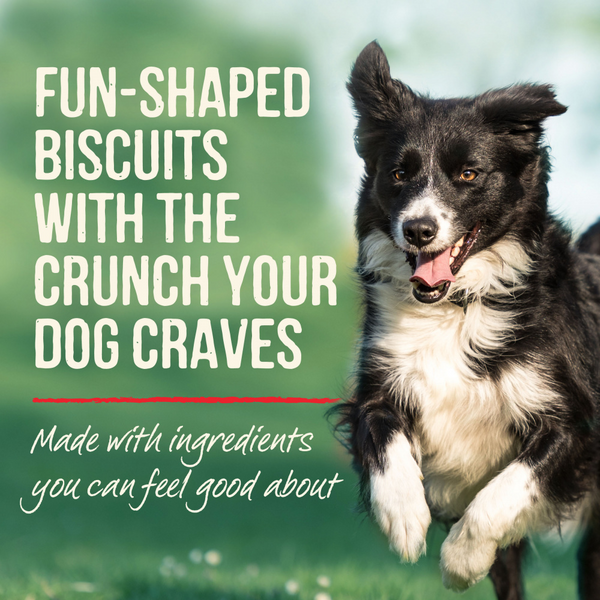 Merrick Pumpkin Patch Oven Baked Dog Treats