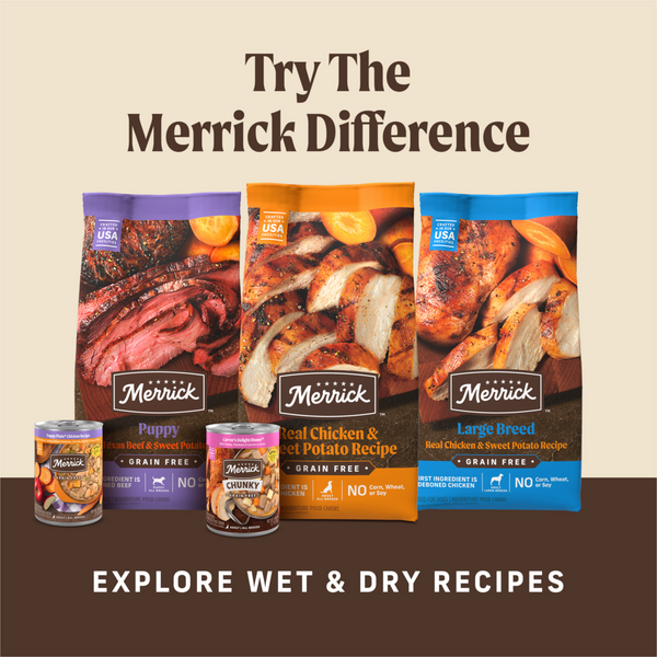 Merrick Pumpkin Patch Oven Baked Dog Treats