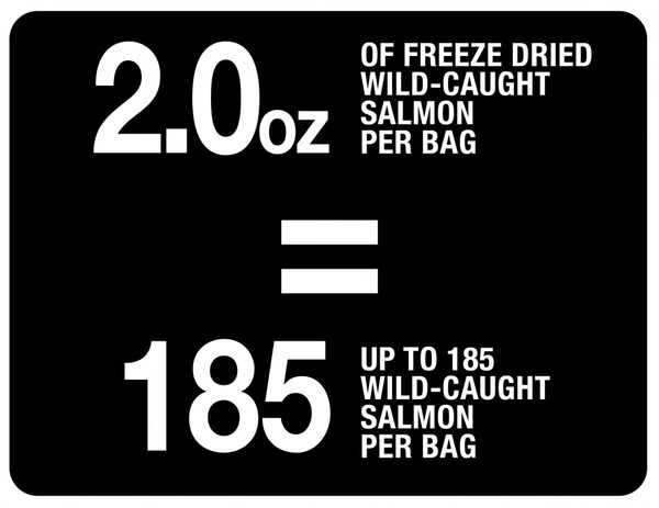 PureBites Freeze Dried Salmon Cat Treats