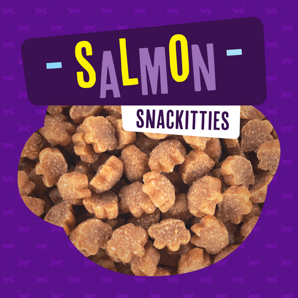 Fromm PurrSnacKitty Salmon Flavor SnacKitties Treats