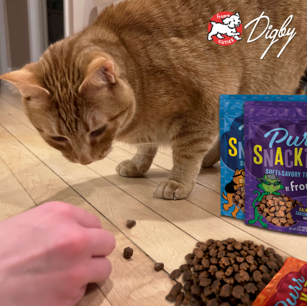 Fromm PurrSnacKitty Salmon Flavor SnacKitties Treats