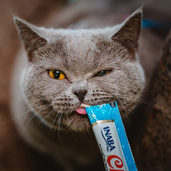 Inaba Cat Churu Chicken Variety Box 20 Tubes