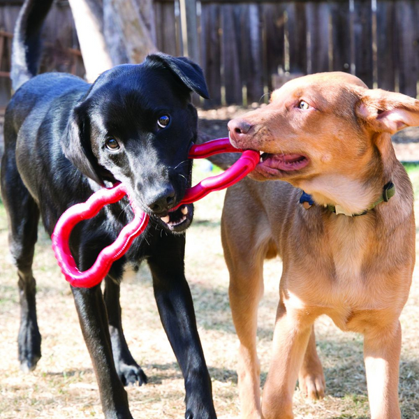 Kong Tug Dog Toy