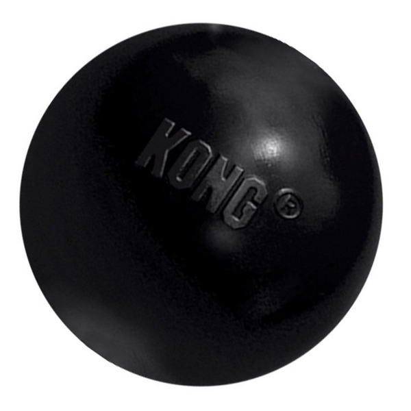 Kong Extreme Ball Dog Toy