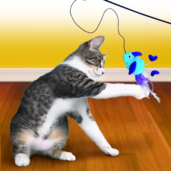 Kong Active Feather Teaser Cat Toy