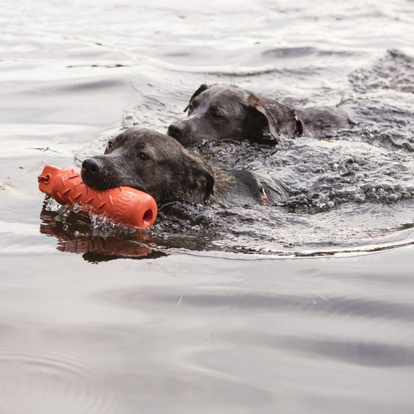 Kong Training Dummy Floating Dog Toy