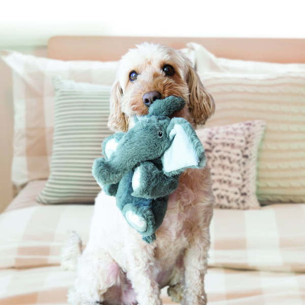 Kong Comfort Kiddos Elephant Plush Dog Toy
