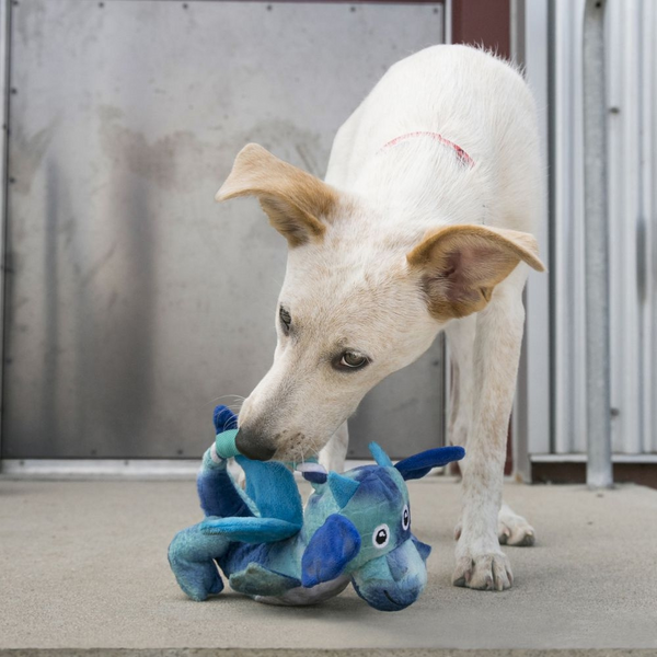 Kong Dragon Knots Dog Toy