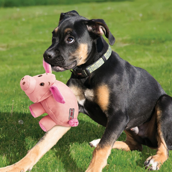Kong Phatz Pig Plush Dog Toy