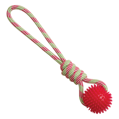 Snugarooz Spike-O-Mite Rope Dog Toy