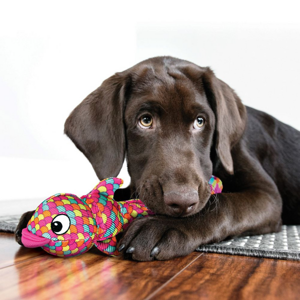 Kong Wubba Finz Dog Toy