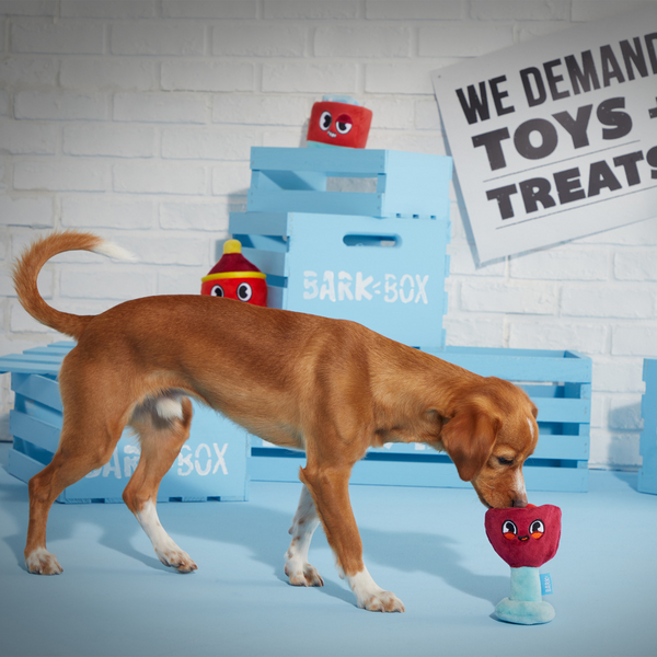 BARK Mutthattan Dog Toy