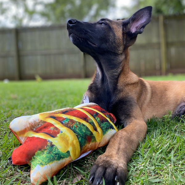 Doggijuana Get the Munchies Hot Dog