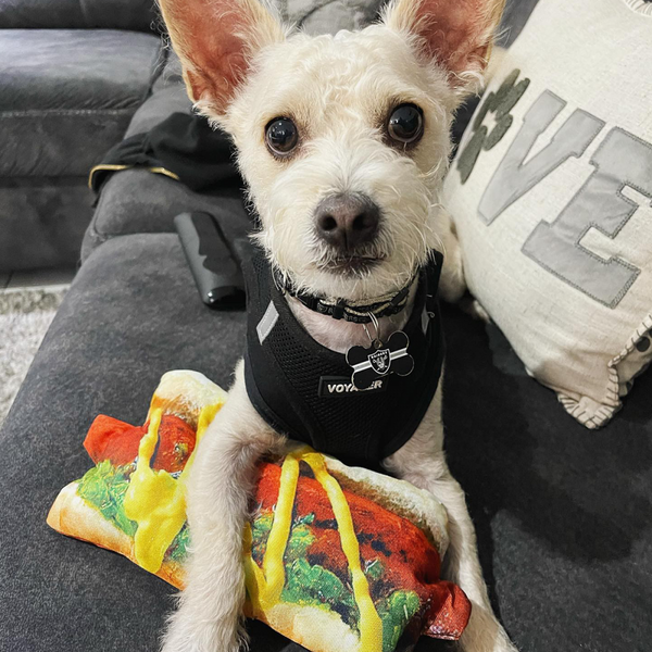 Doggijuana Get the Munchies Hot Dog